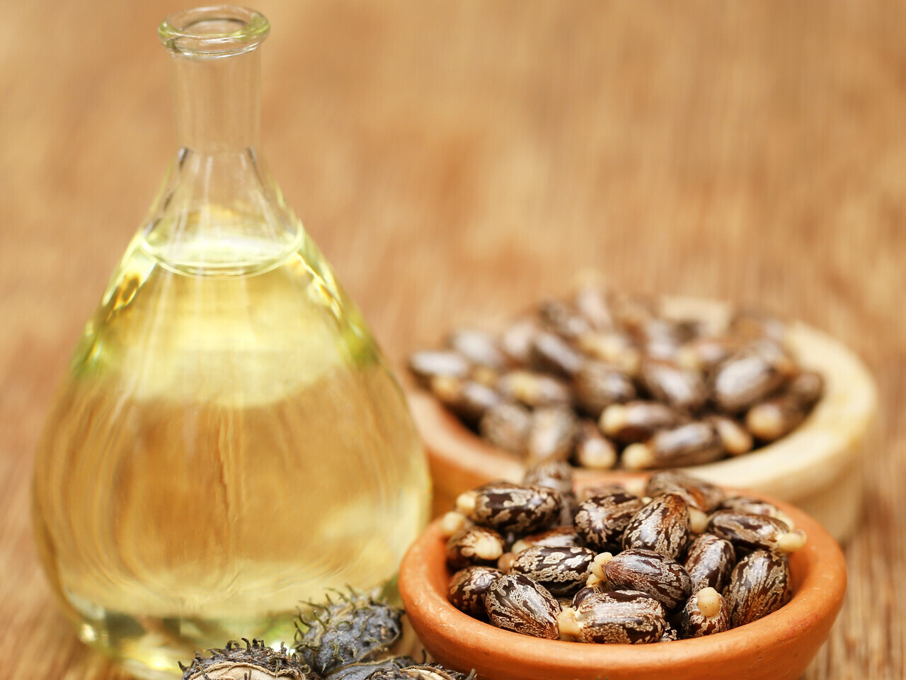 castor oil and castor beans