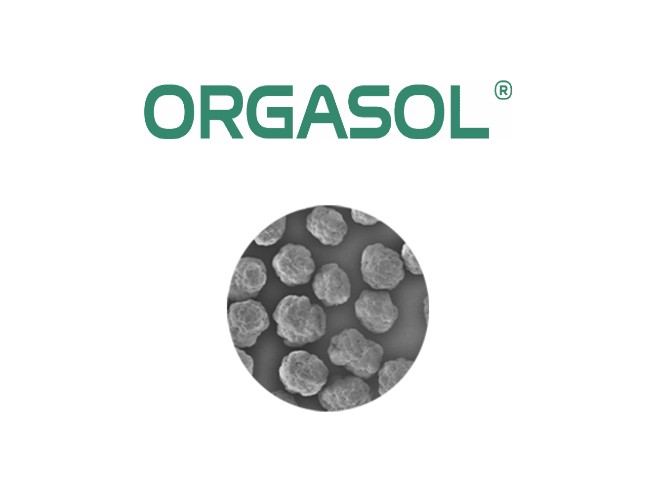 Orgasol-logo-micrograph-v2.png