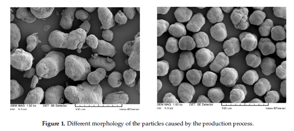 Figure 1: SEM images of PA powders with different morphologies caused by their production processes.  The left image shows usual PA12 powder particles. These particles are relatively spherical, with a rough texture and a narrow size distribution around 60 µm. The morphology results from a solution–precipitation process in ethanol. The right image depicts Orgasol® PA12 powder particles. These particles are smooth and nearly spherical, with a smaller size distribution of approximately 40 µm. The smoother texture and uniformity arise from a direct polymerization manufacturing process. Both images demonstrate differences in particle texture and size, highlighting the influence of the production method.